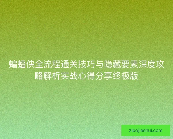 蝙蝠侠全流程通关技巧与隐藏要素深度攻略解析实战心得分享终极版